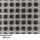 Membrane filtrante hidrofile din nylon Merck Millipore, 25 mm, dim. pori 10 µm, 100 buc