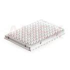 Placi PCR din polipropilena Brand, 96 godeuri, 0.2 ml, 50 buc