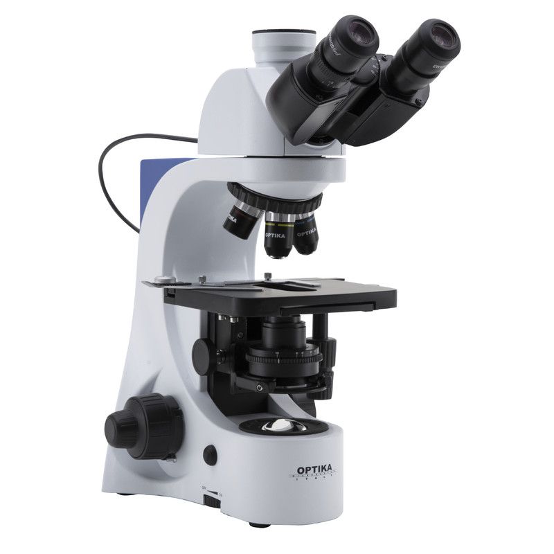 carpenter present Bourgeon Microscop binocular B-382PL-ALC Optika, 1000x